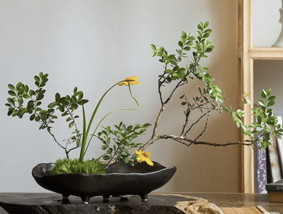 Ikebana: the Japanese flower arranging for modern interiors