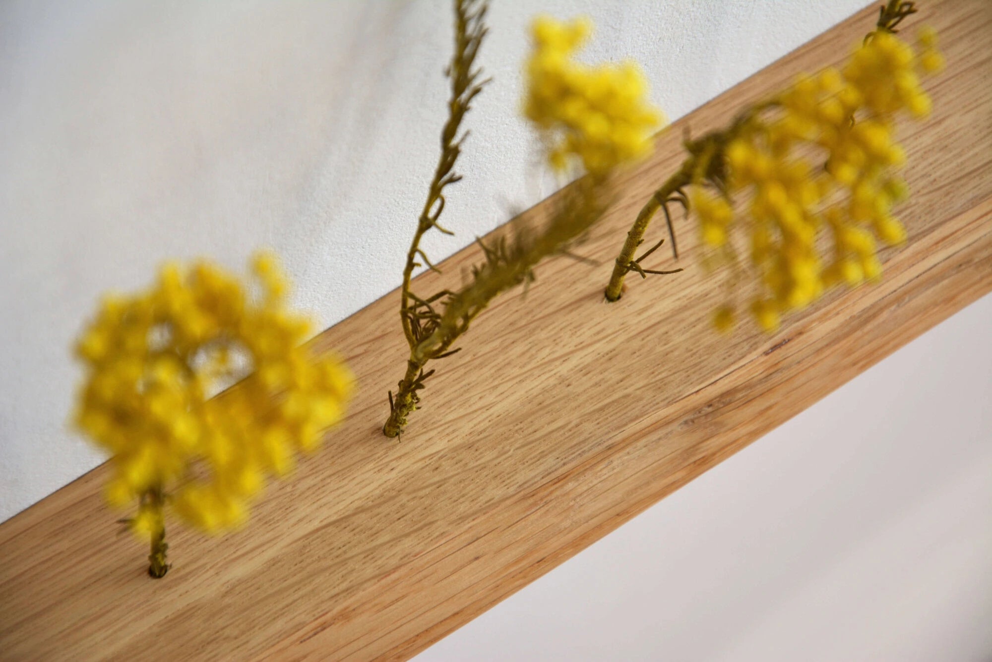dried flower decor