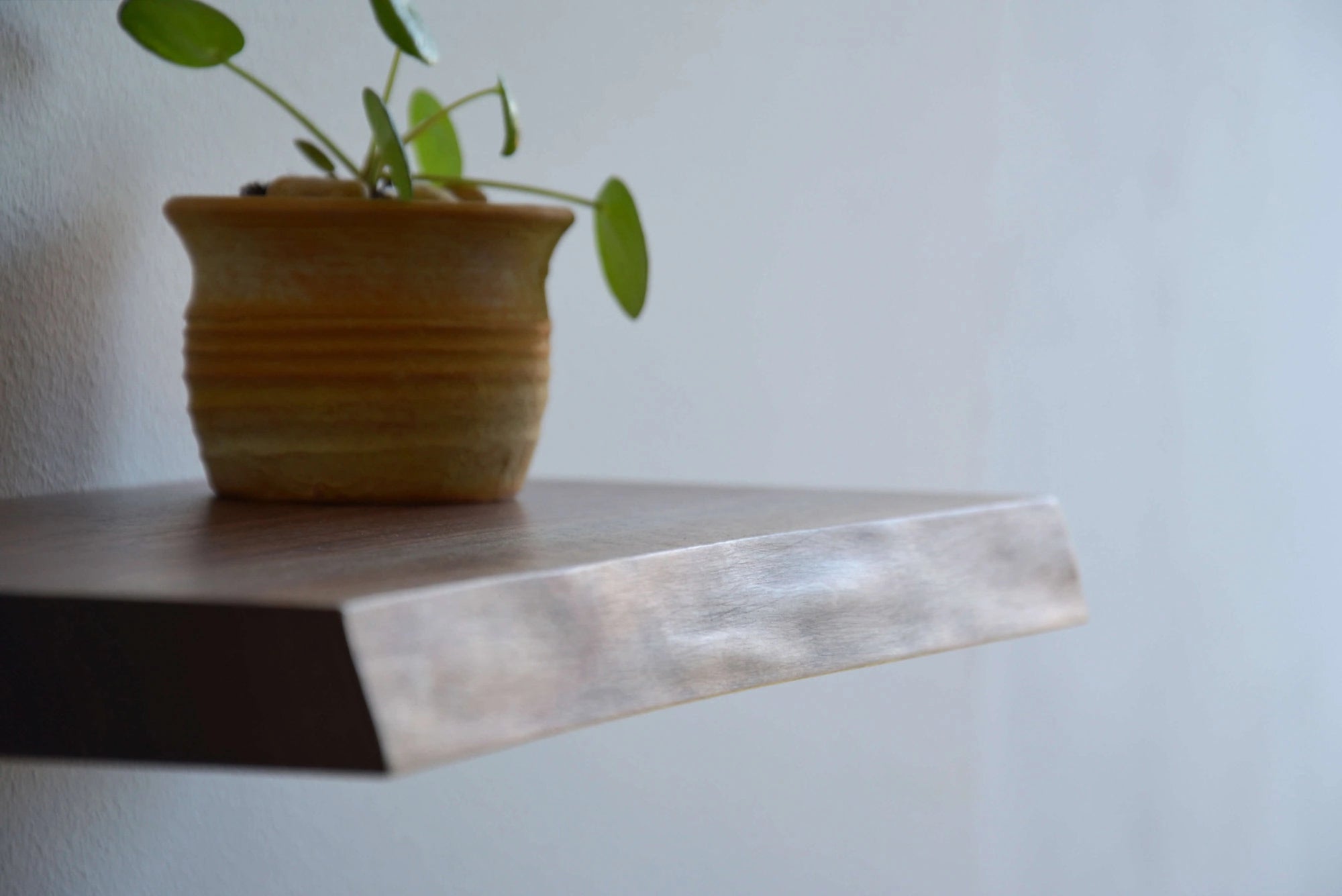 live edge floating shelf made of walnut