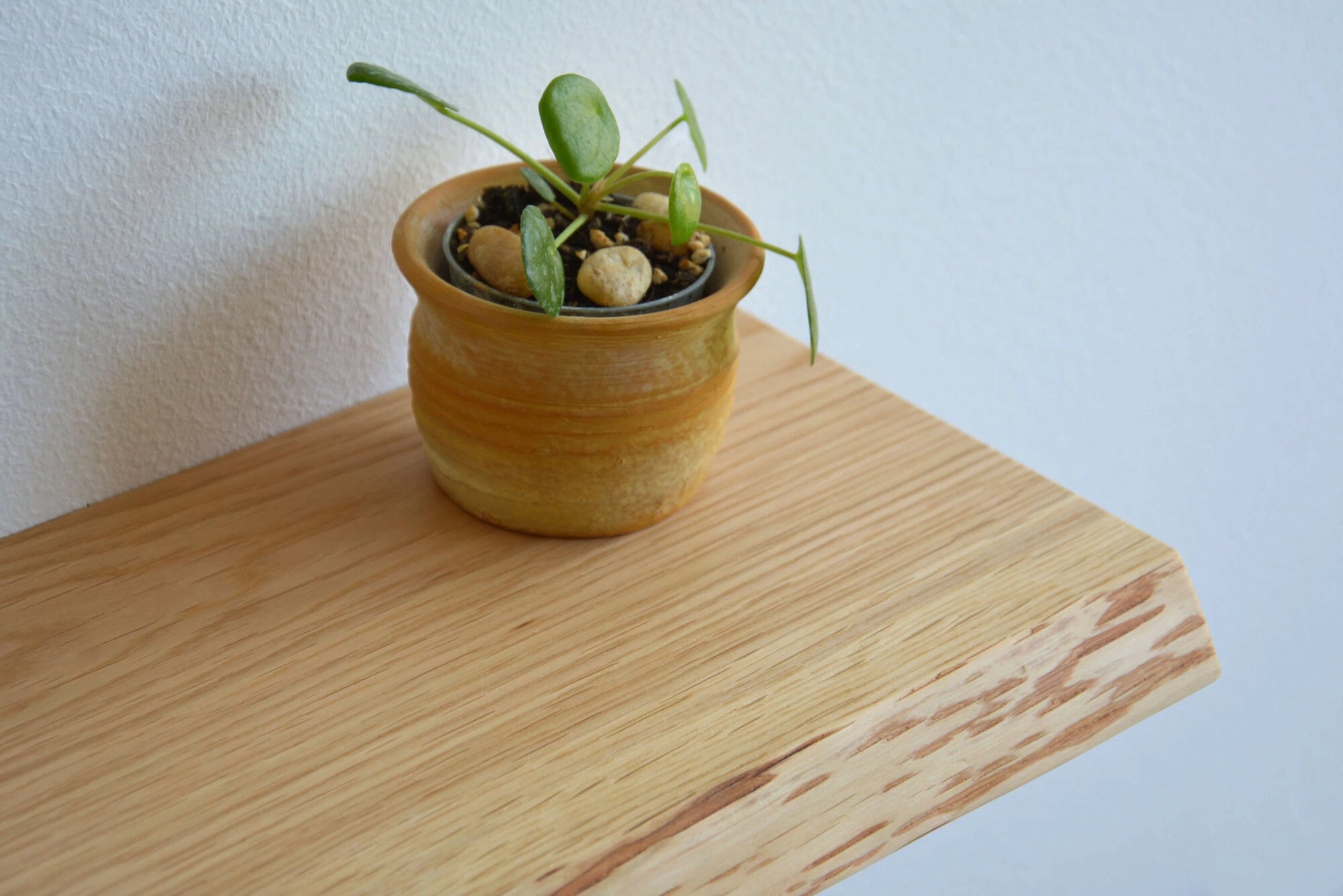 live edge shelf made of oak