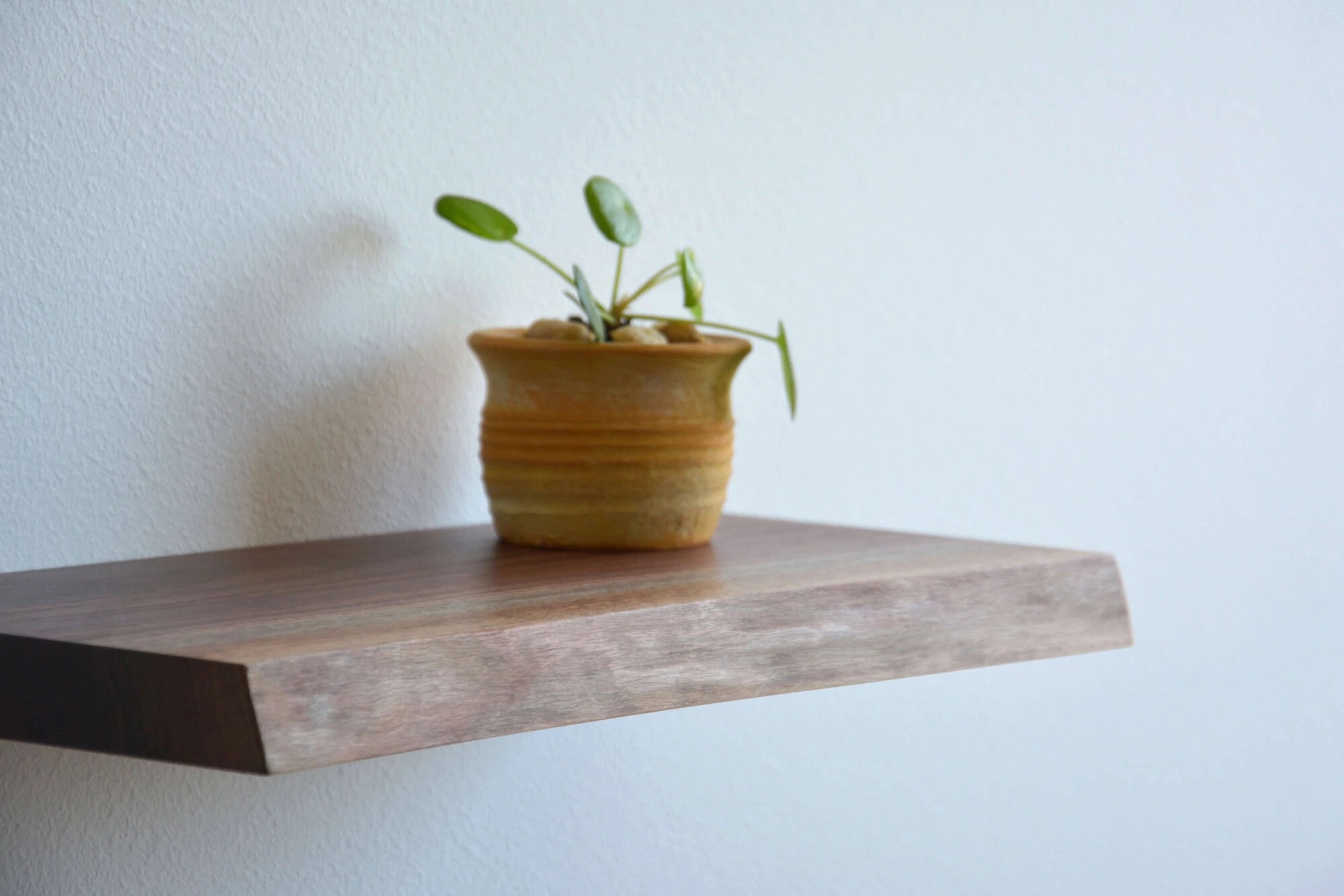 live edge shelf made of walnut