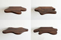neotenic floating shelves