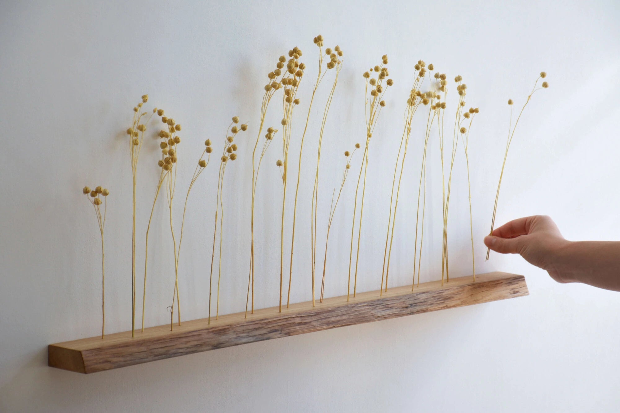 wall flower holder